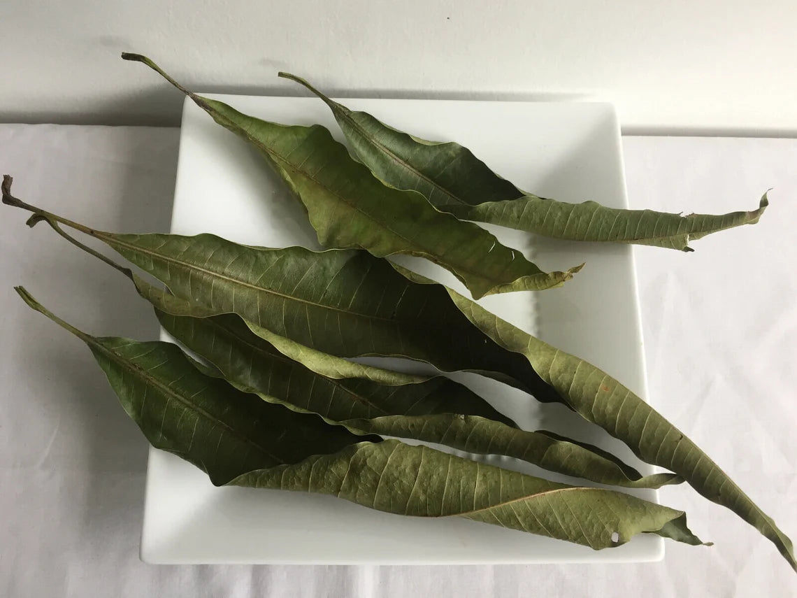 Soursop dried leaves