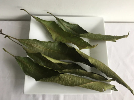 Soursop dried leaves